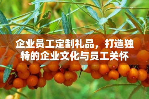 企业员工定制礼品，打造独特的企业文化与员工关怀