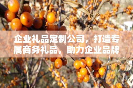 企业礼品定制公司，打造专属商务礼品，助力企业品牌发展