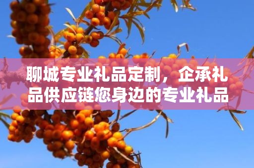 聊城专业礼品定制，企承礼品供应链您身边的专业礼品定制公司