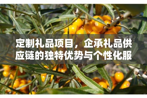 定制礼品项目，企承礼品供应链的独特优势与个性化服务体验